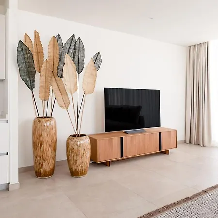 Exceptional Melodia Serenity 1 أذيخي